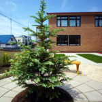 サークルストーンで花壇に