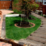 枕木のパス（小道）